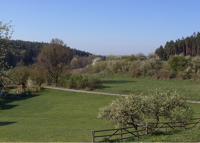 Frühjahr im Höllbachtal